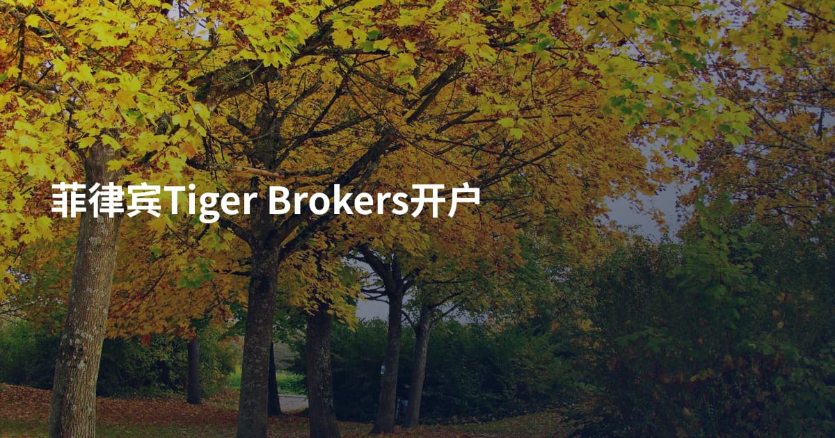 菲律宾Tiger Brokers开户