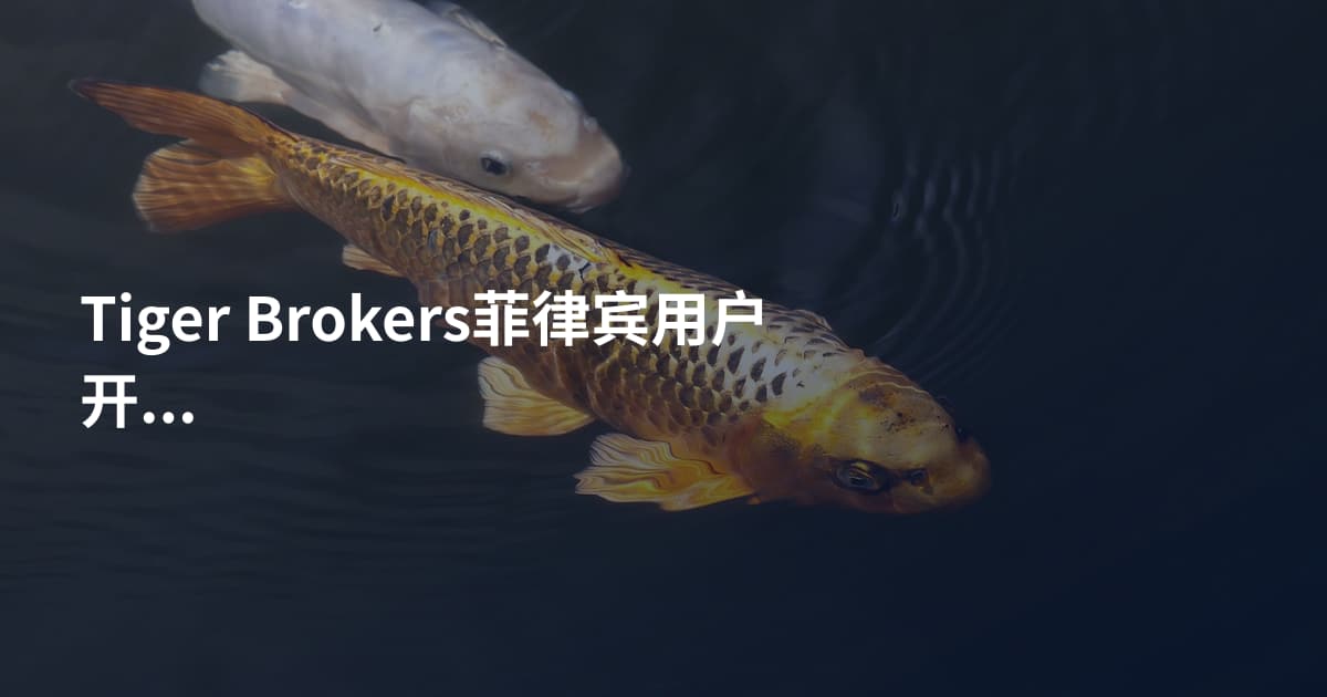 Tiger Brokers菲律宾用户开户