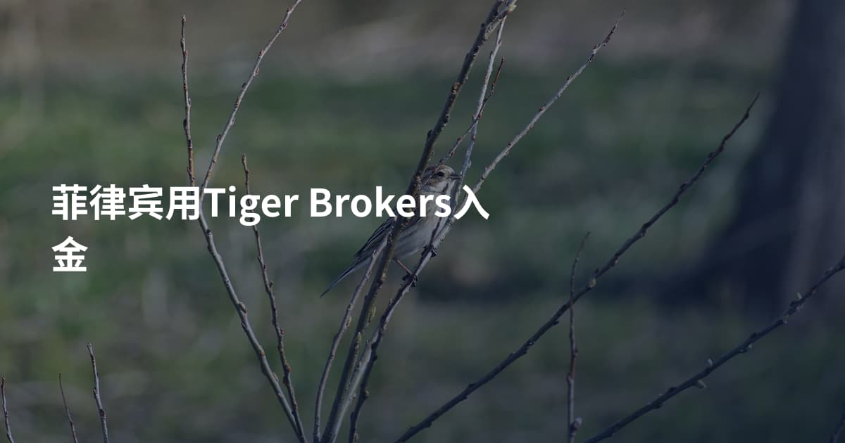 菲律宾用Tiger Brokers入金