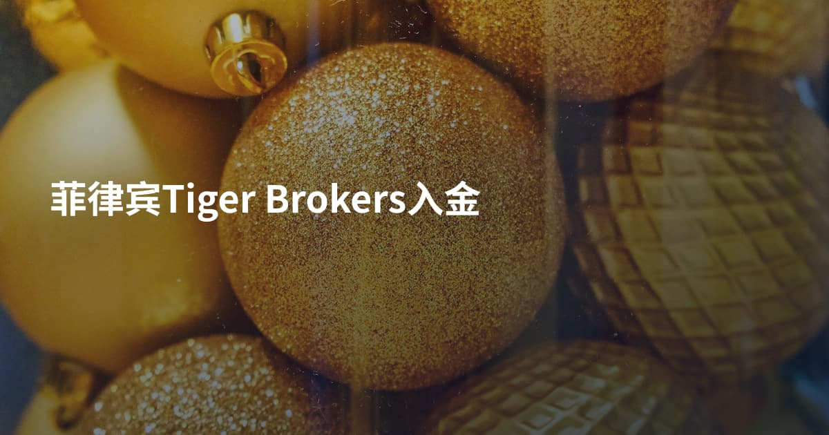 菲律宾Tiger Brokers入金