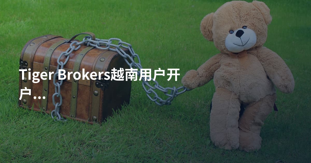 Tiger Brokers越南用户开户条件
