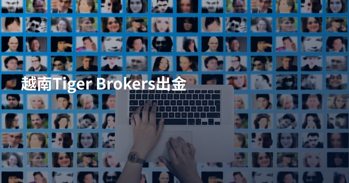 越南Tiger Brokers出金