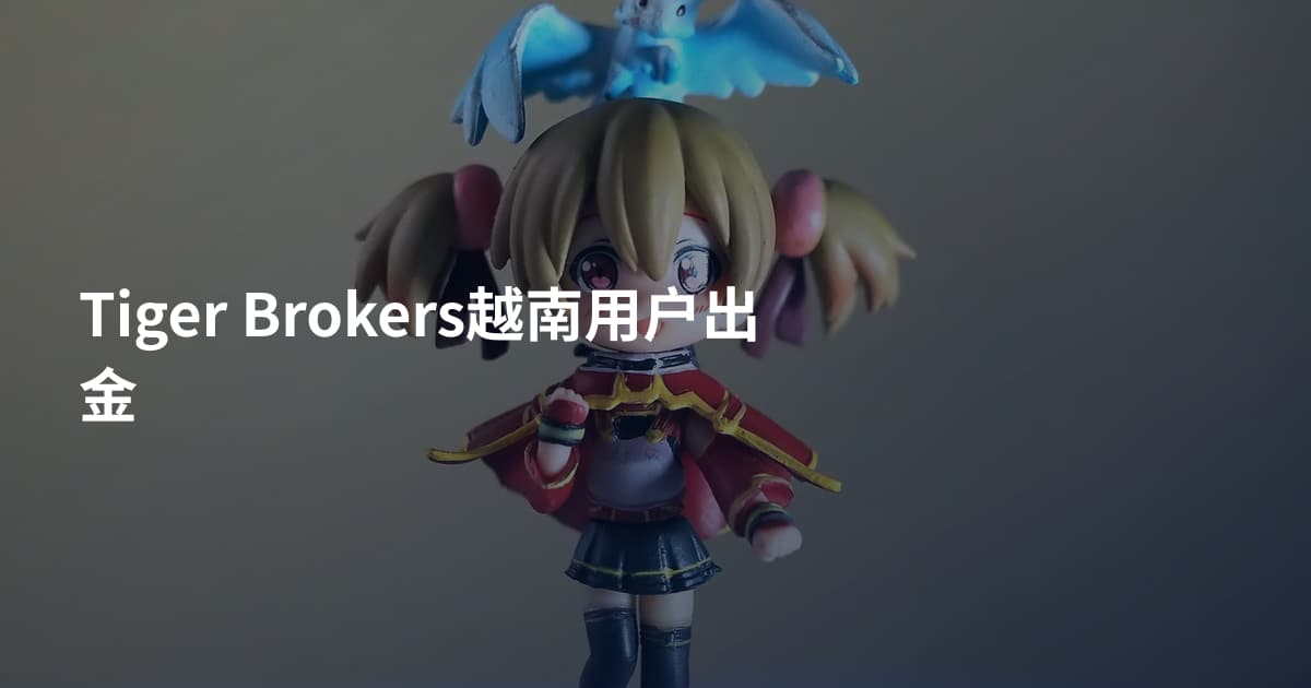 Tiger Brokers越南用户出金