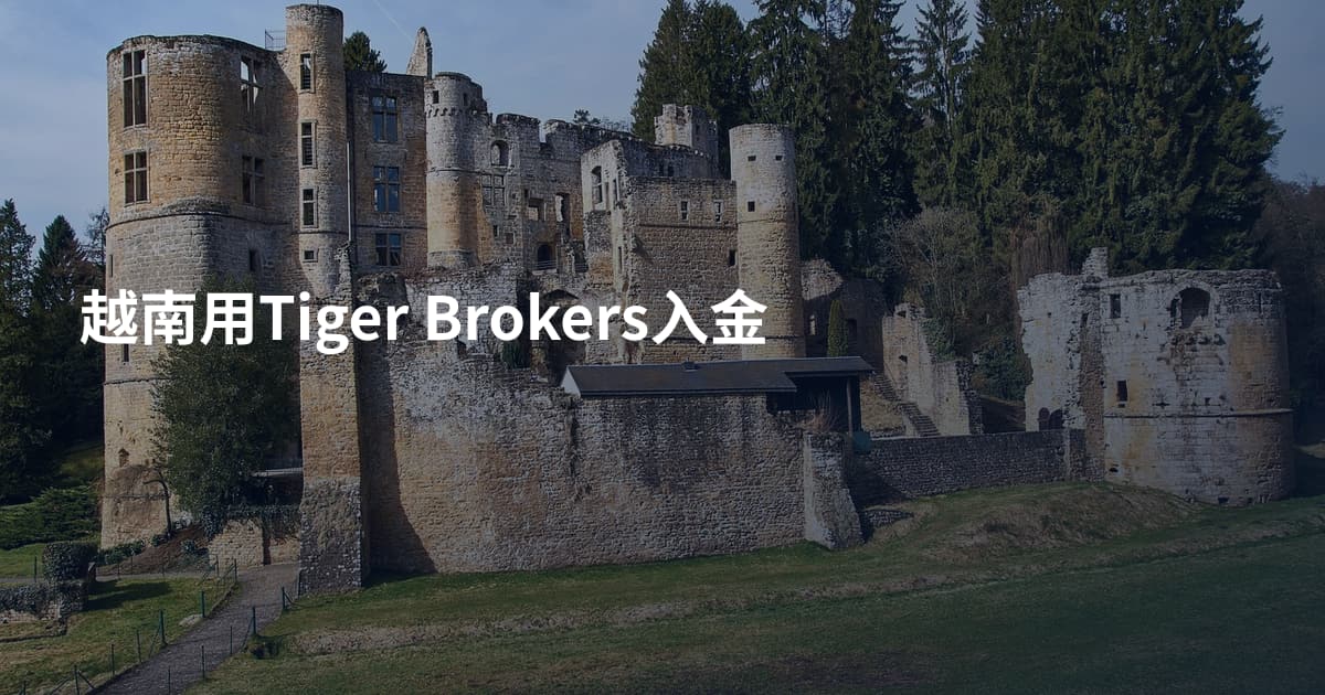 越南用Tiger Brokers入金