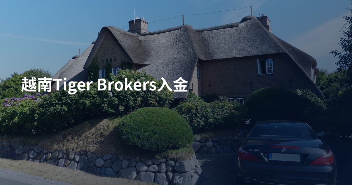 越南Tiger Brokers入金