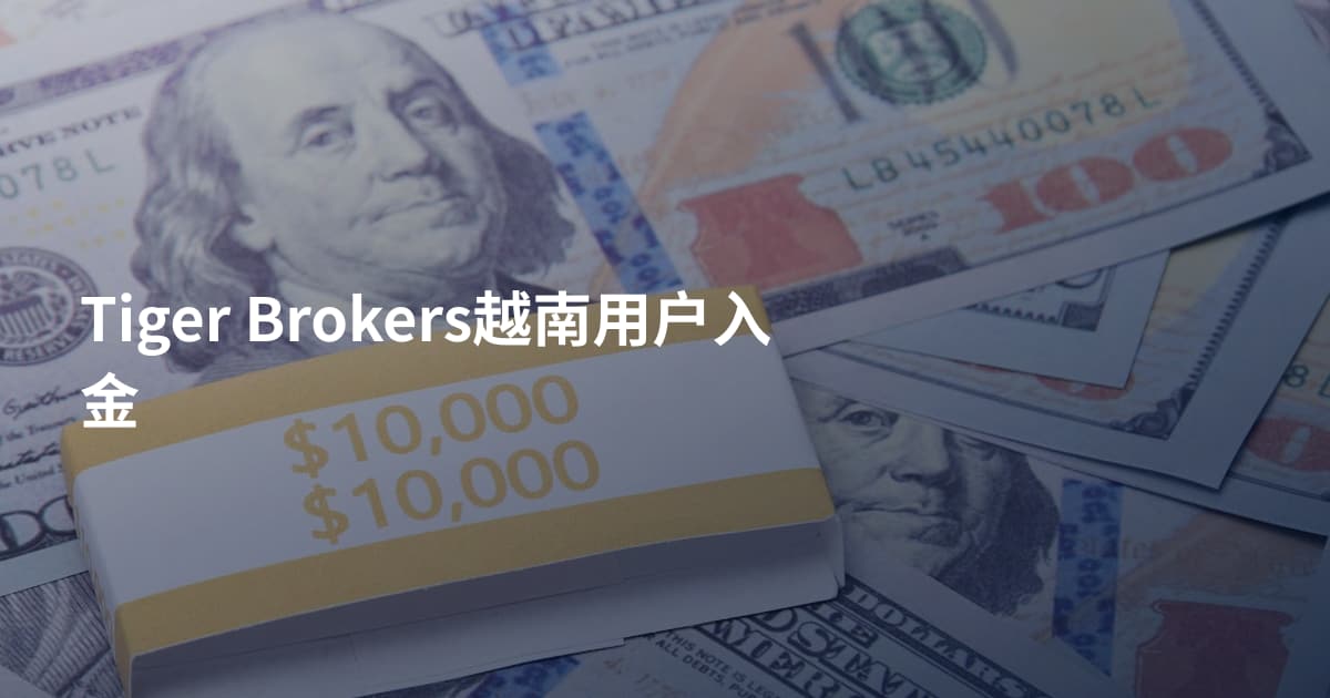 Tiger Brokers越南用户入金