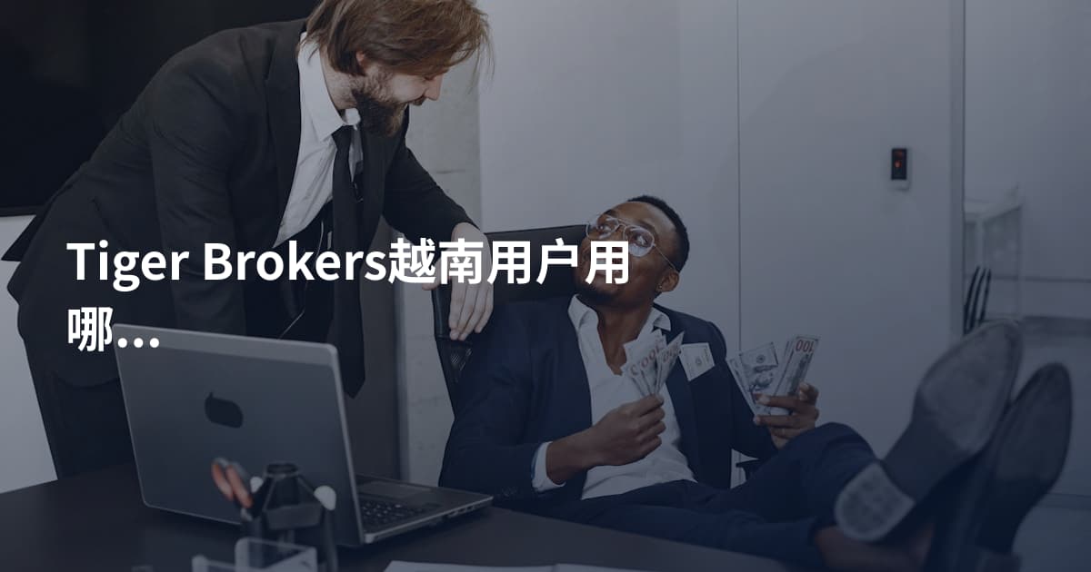 Tiger Brokers越南用户用哪个平台