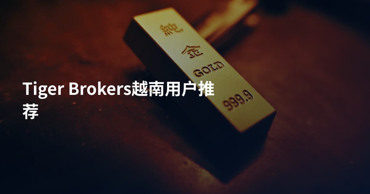 Tiger Brokers越南用户推荐