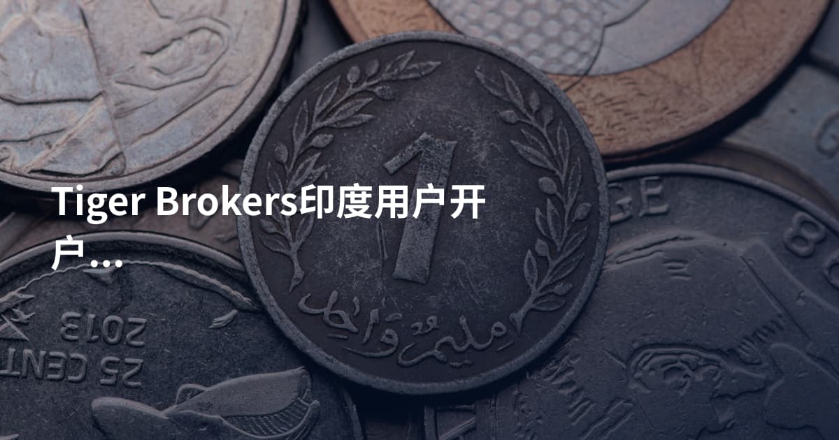 Tiger Brokers印度用户开户条件