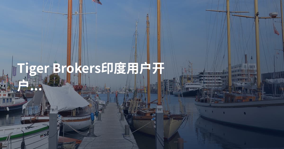 Tiger Brokers印度用户开户需要什么