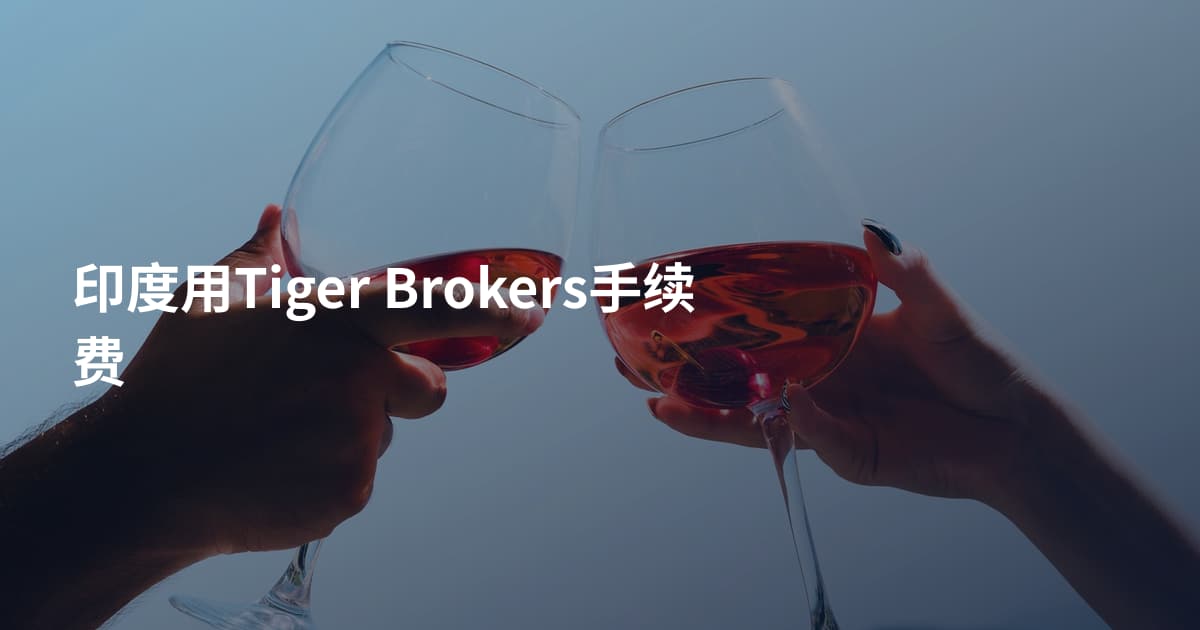 印度用Tiger Brokers手续费