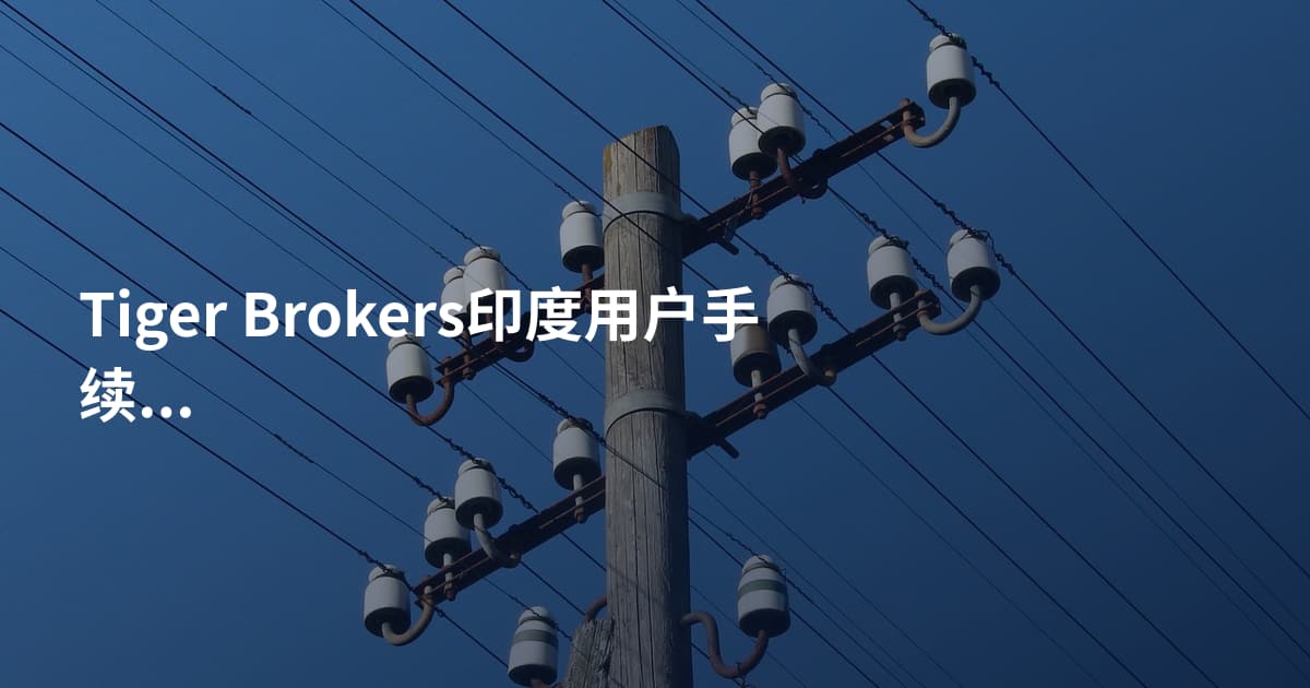 Tiger Brokers印度用户手续费