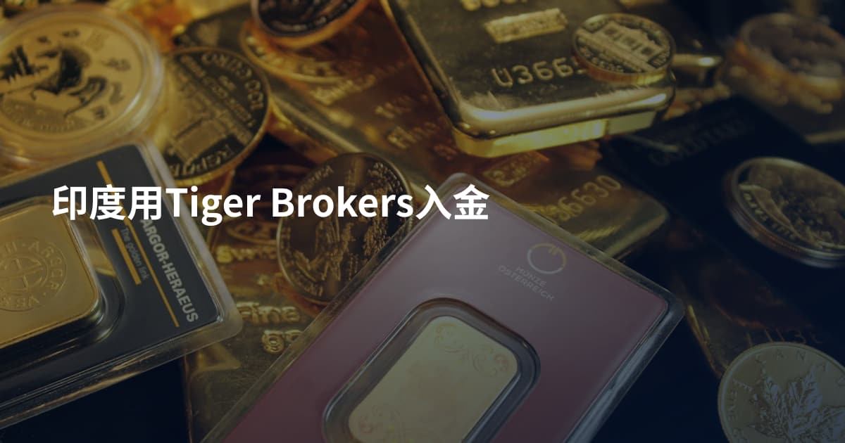 印度用Tiger Brokers入金