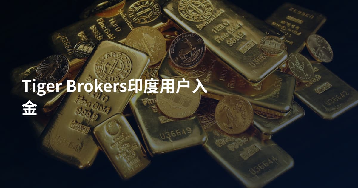 Tiger Brokers印度用户入金