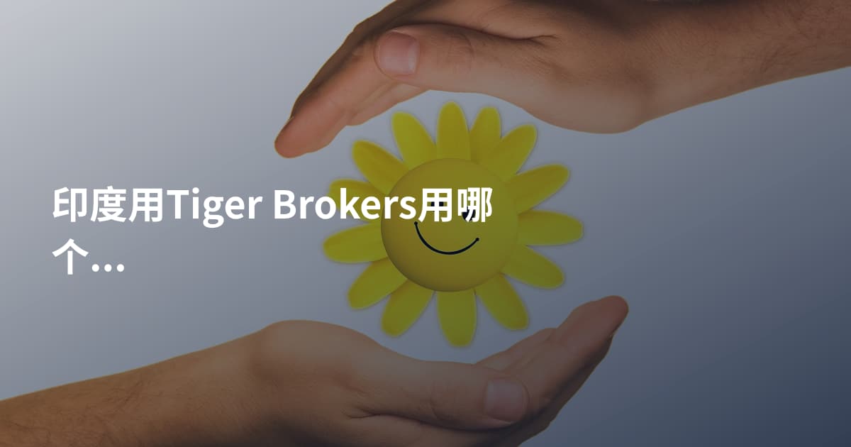 印度用Tiger Brokers用哪个平台