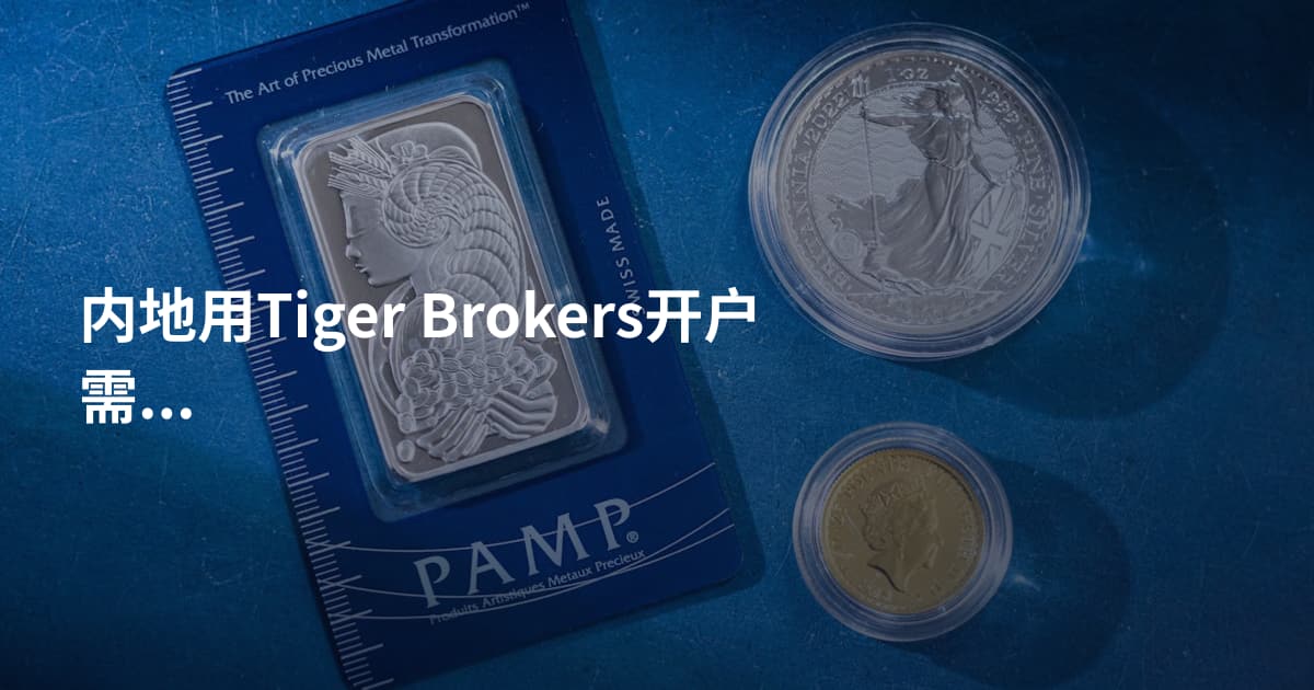 内地用Tiger Brokers开户需要什么