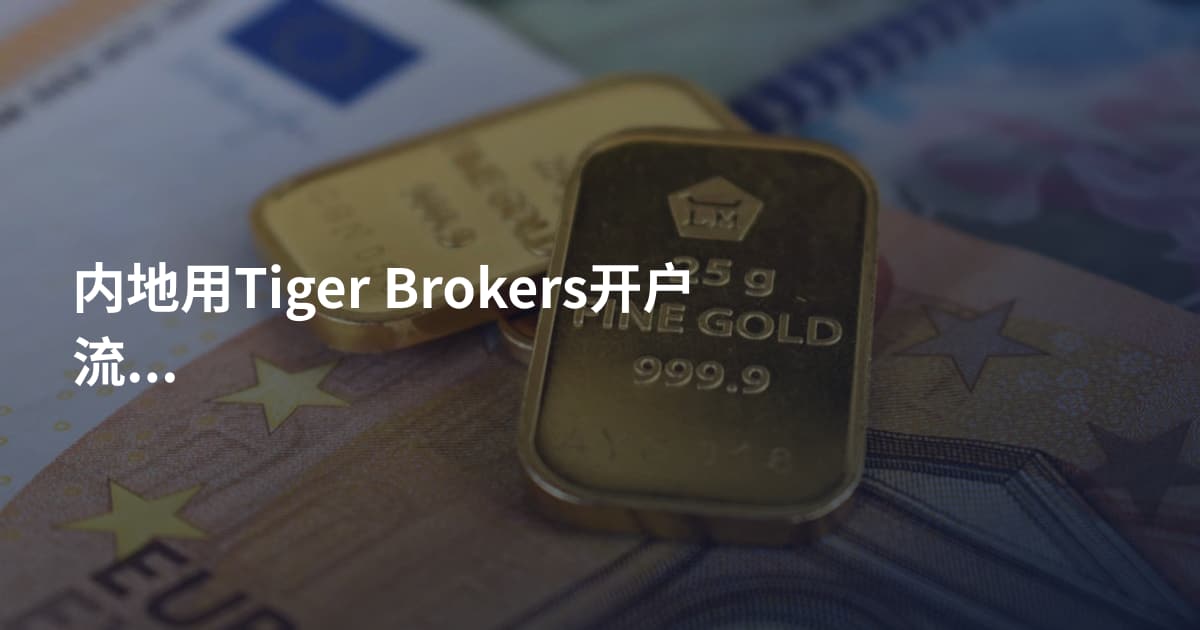 内地用Tiger Brokers开户流程