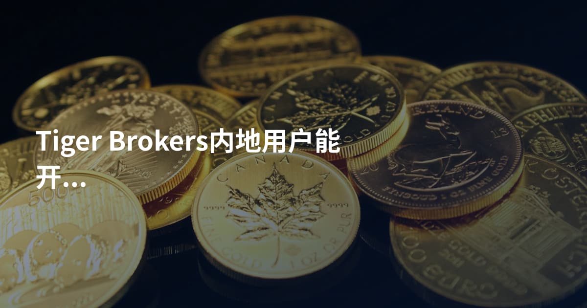 Tiger Brokers内地用户能开户吗