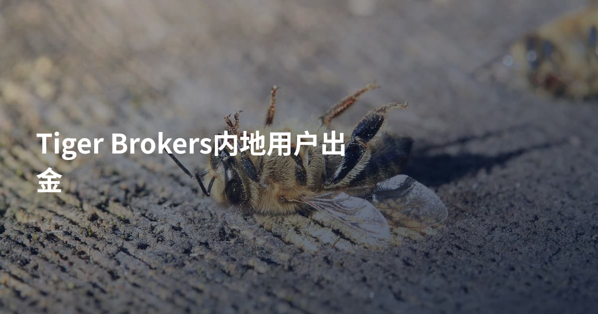 Tiger Brokers内地用户出金