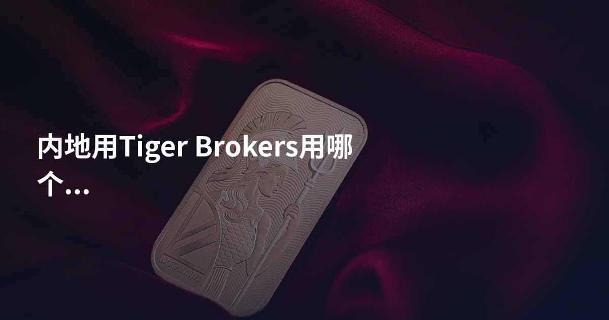 内地用Tiger Brokers用哪个平台