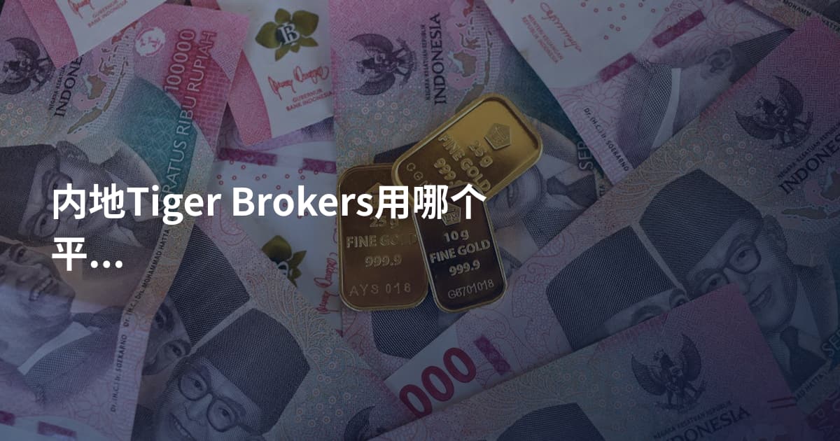 内地Tiger Brokers用哪个平台