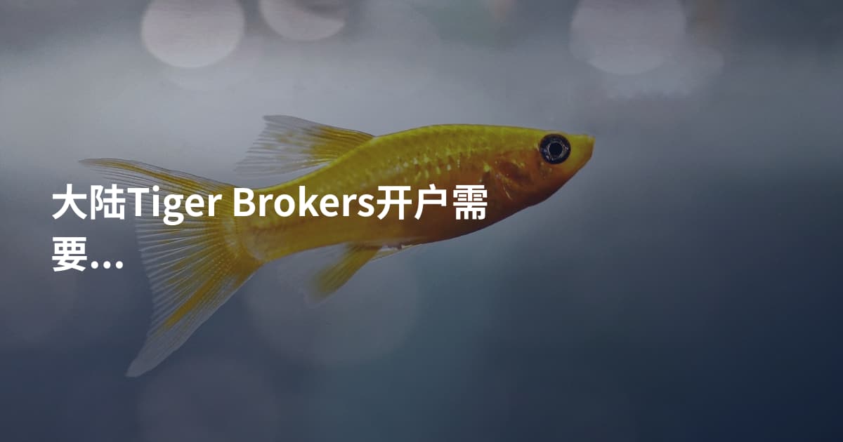 大陆Tiger Brokers开户需要什么