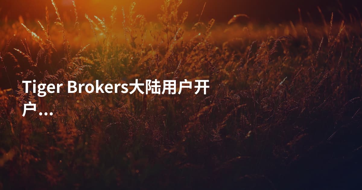 Tiger Brokers大陆用户开户流程