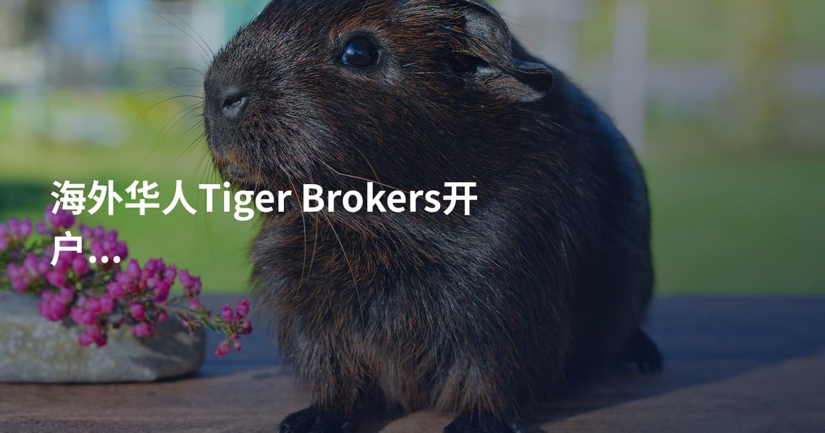 海外华人Tiger Brokers开户流程