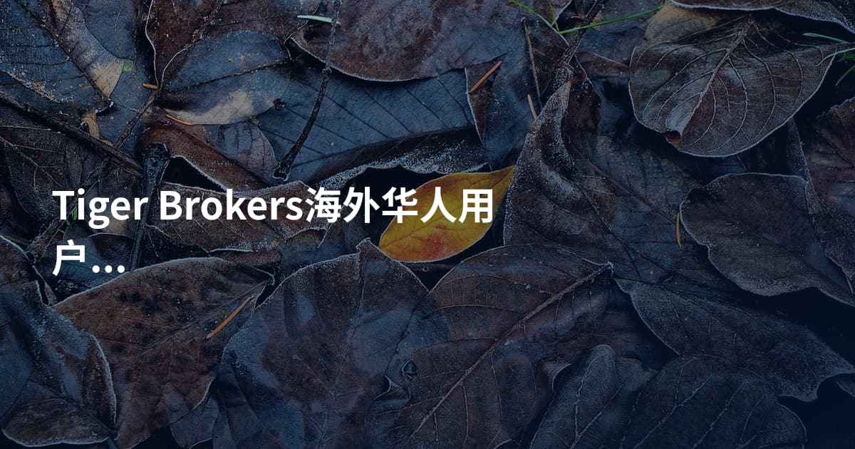 Tiger Brokers海外华人用户开户流程