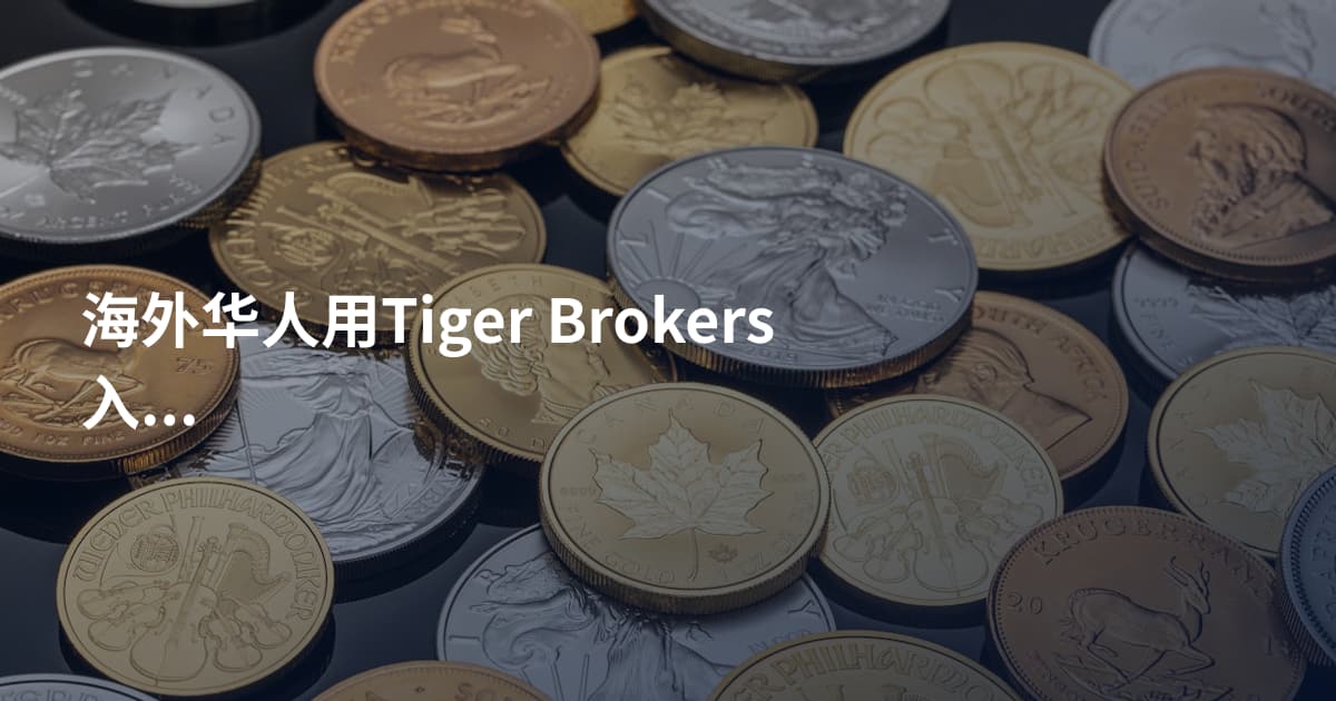 海外华人用Tiger Brokers入金