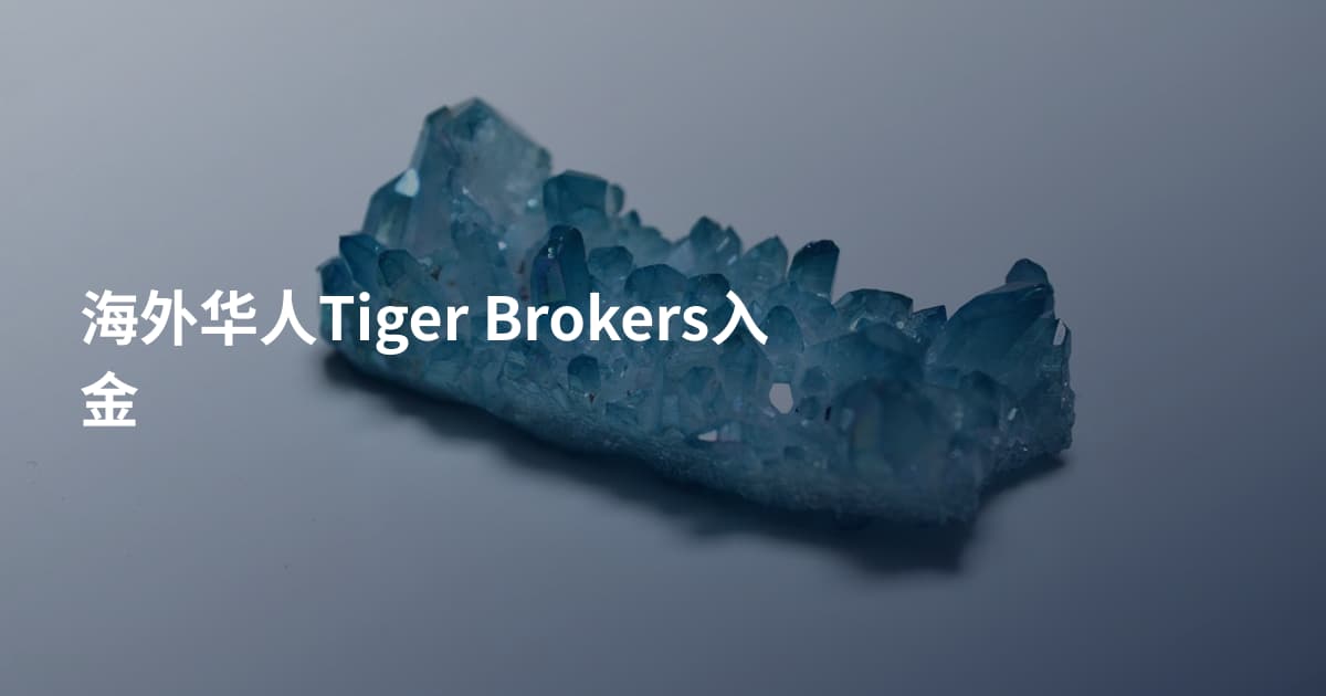 海外华人Tiger Brokers入金