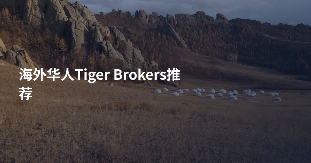 海外华人Tiger Brokers推荐