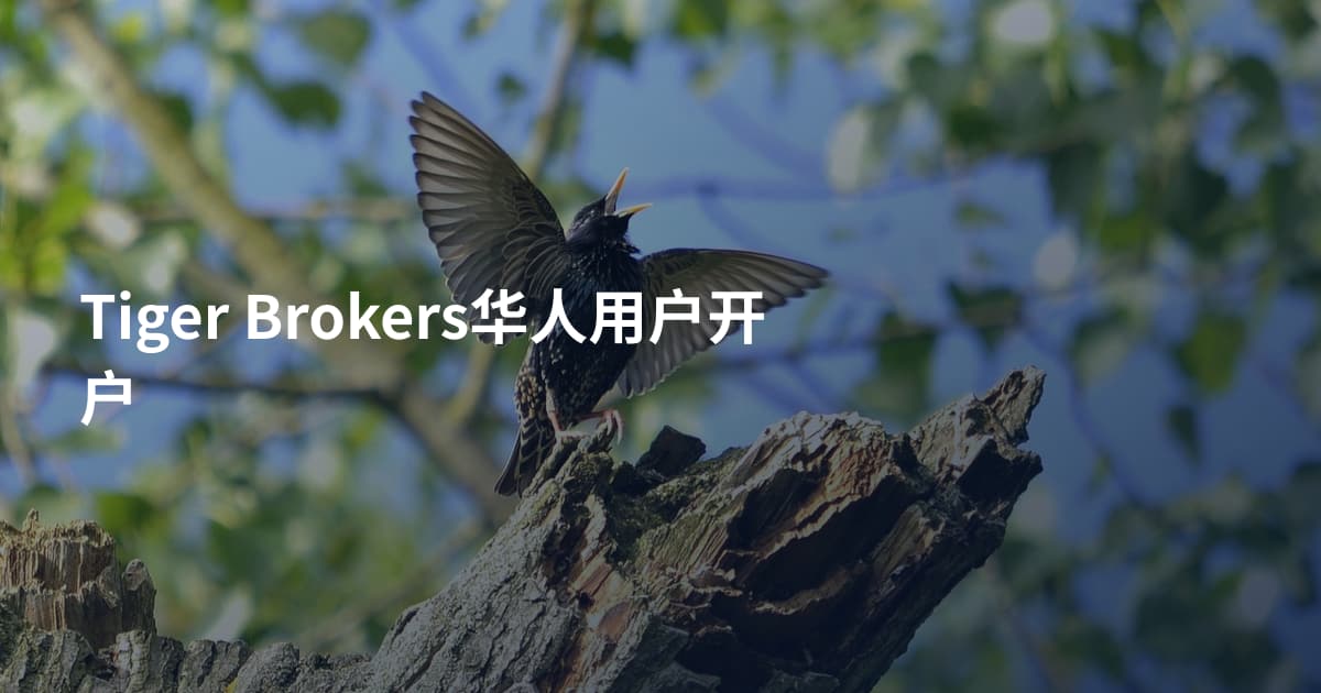 Tiger Brokers华人用户开户