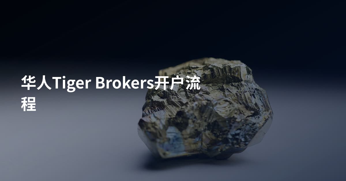 华人Tiger Brokers开户流程