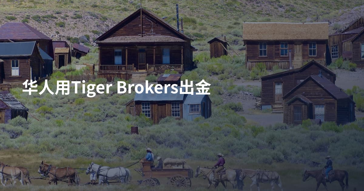 华人用Tiger Brokers出金
