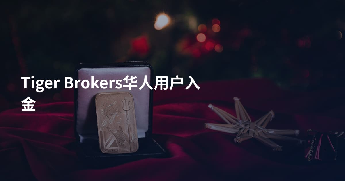 Tiger Brokers华人用户入金