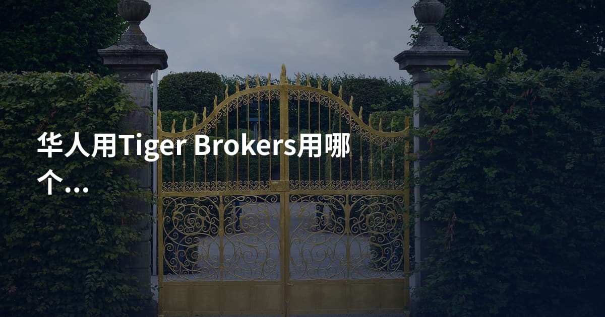 华人用Tiger Brokers用哪个平台