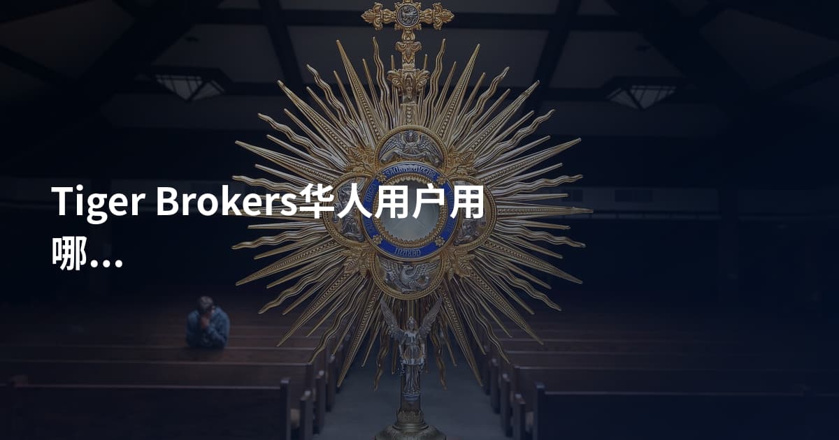 Tiger Brokers华人用户用哪个平台