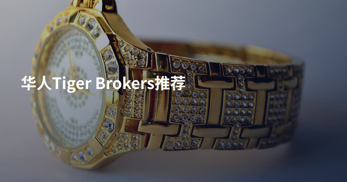 华人Tiger Brokers推荐