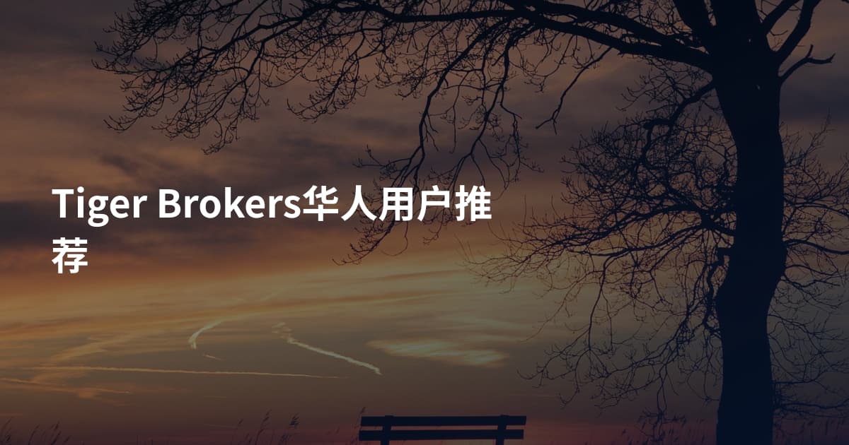 Tiger Brokers华人用户推荐