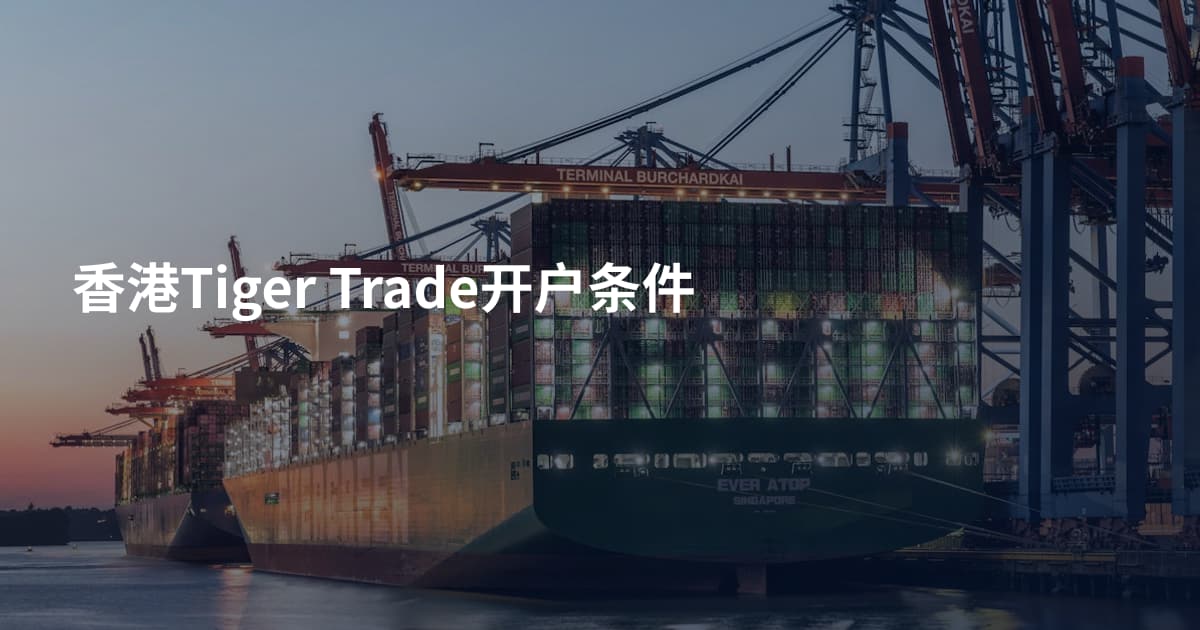 香港Tiger Trade开户条件
