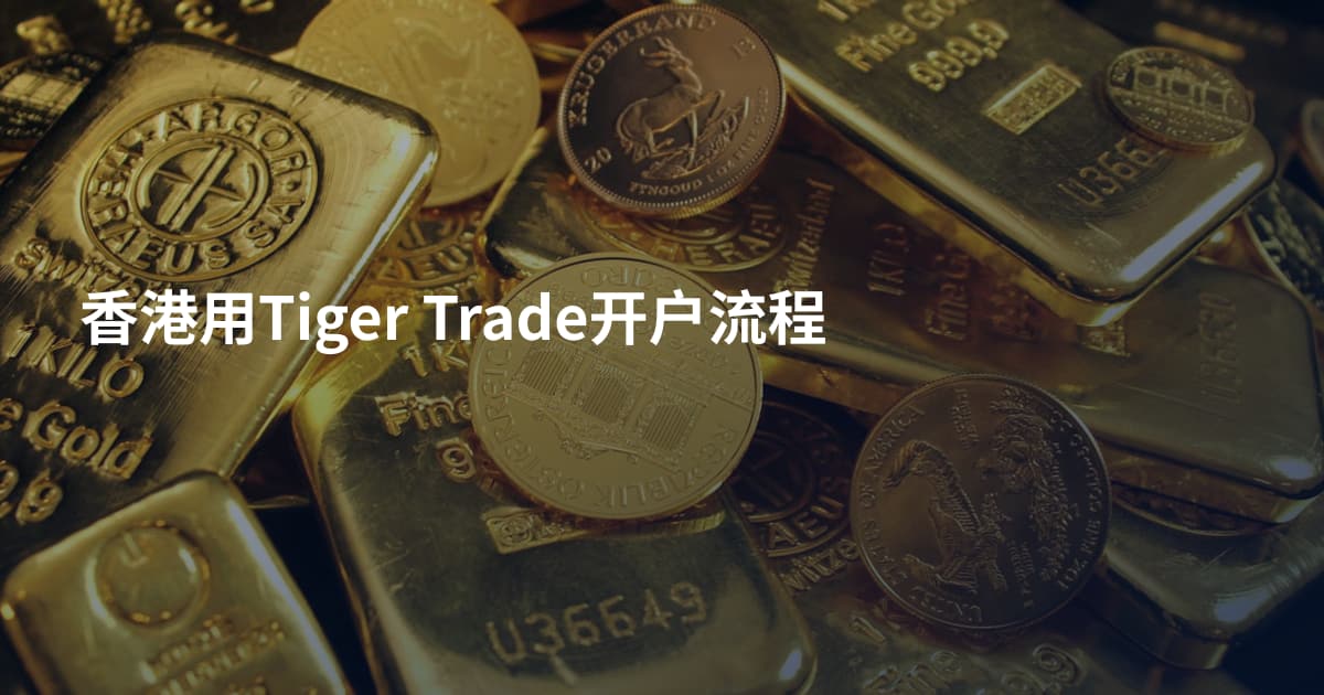 香港用Tiger Trade开户流程