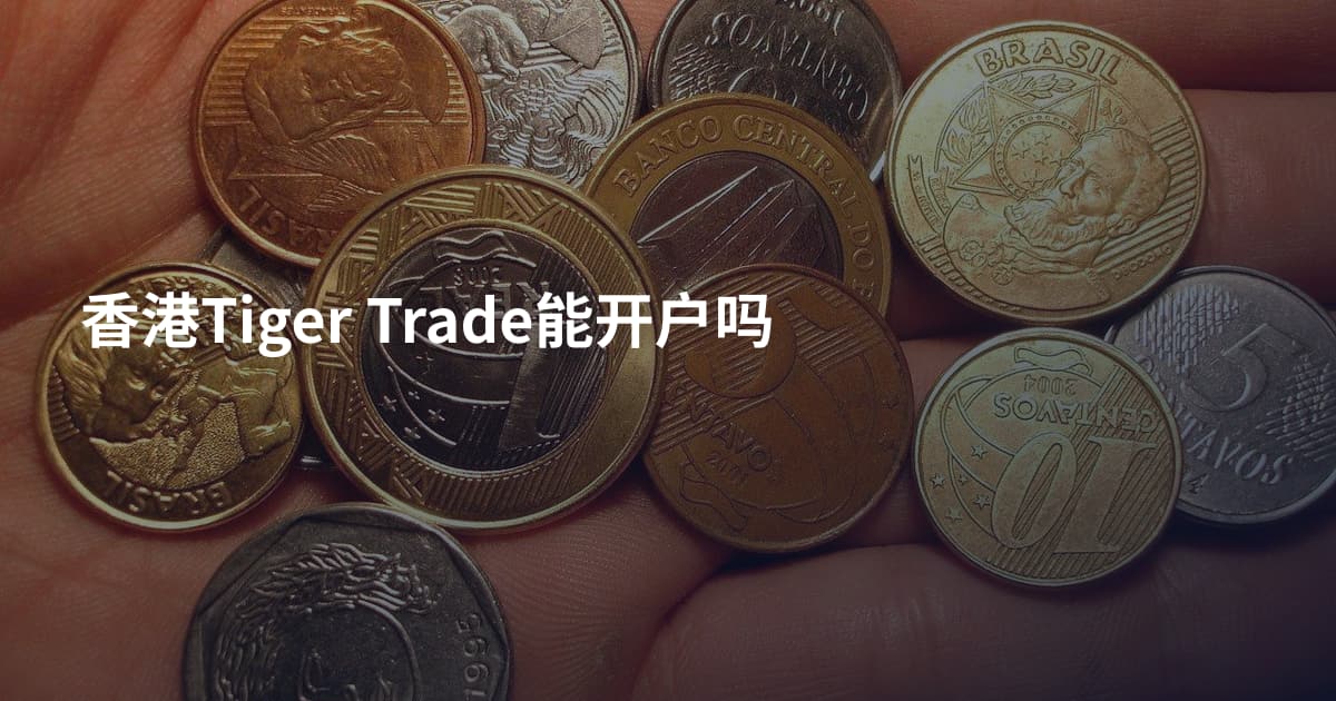香港Tiger Trade能开户吗