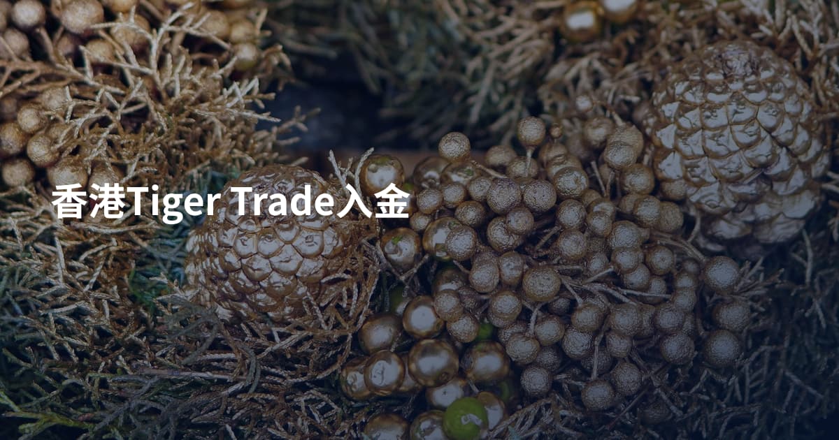香港Tiger Trade入金