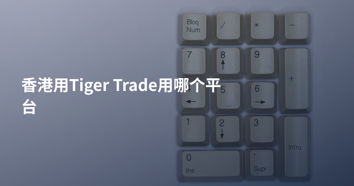 香港用Tiger Trade用哪个平台