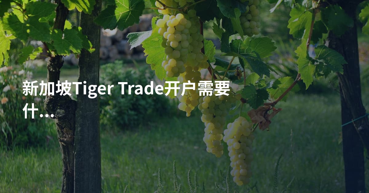 新加坡Tiger Trade开户需要什么