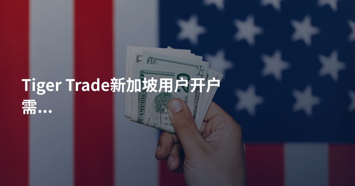 Tiger Trade新加坡用户开户需要什么