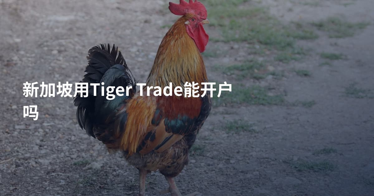 新加坡用Tiger Trade能开户吗