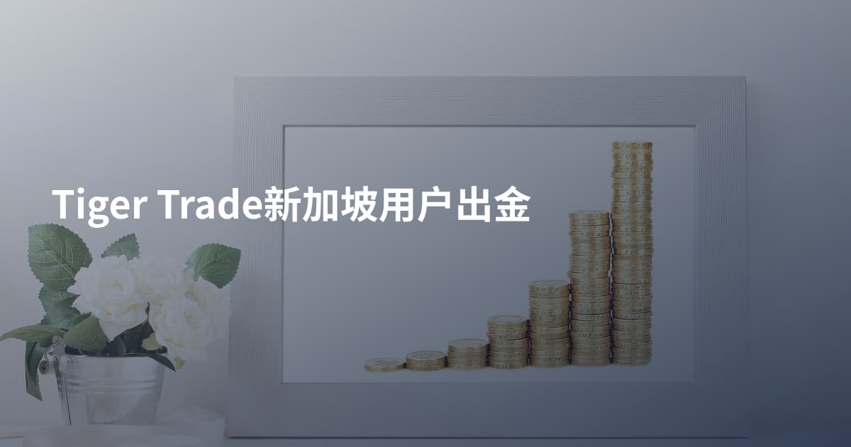 Tiger Trade新加坡用户出金