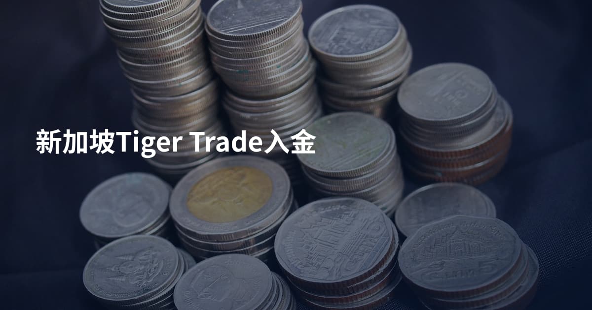 新加坡Tiger Trade入金